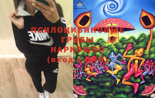 apvp Ветлуга