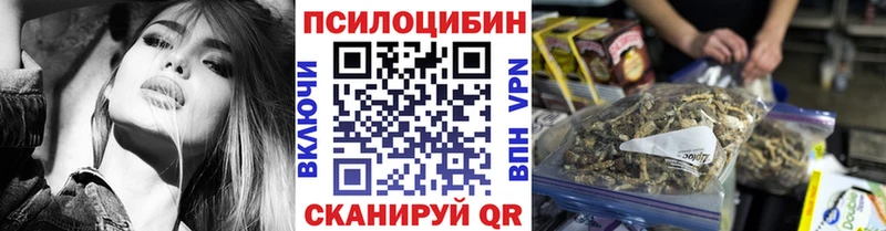 Галлюциногенные грибы Cubensis Балтийск